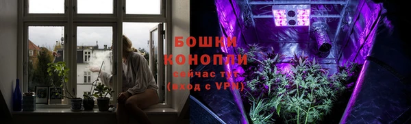каннабис Верея