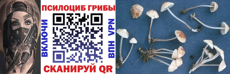 Галлюциногенные грибы ЛСД  Купить где  Луховицы 